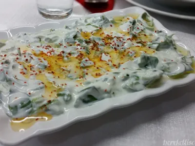 Yoğurtlu Semizotu Salatası