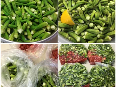 Derin Dondurucu İçin Bamya Hazırlama