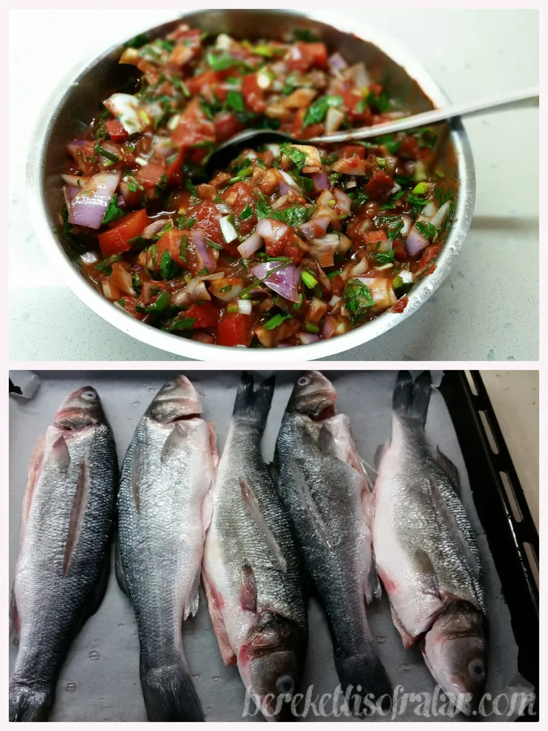 .....wtr 2016-22-5--23-53-02