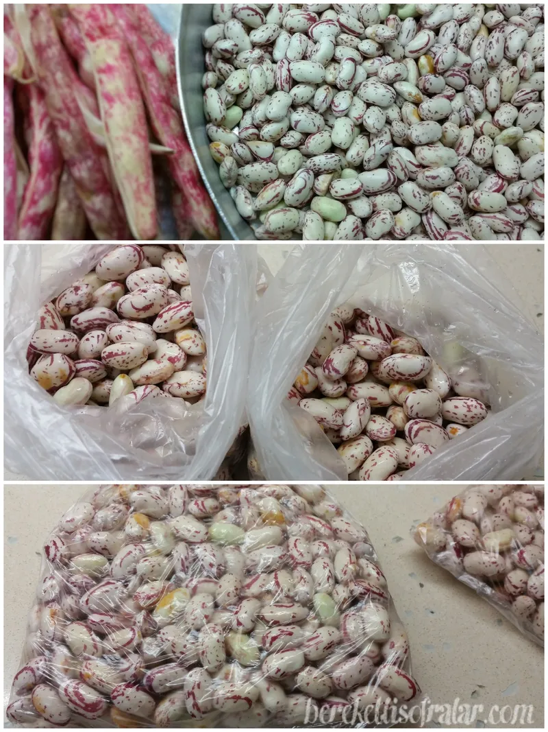 2 Wtr kllnln 2016-04-9--23-20-52